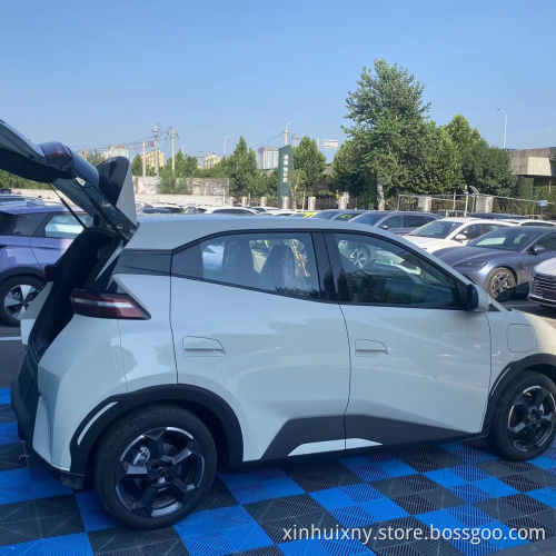 2023 new hot sale inventory car BYD Dolphin Used car sales new energy car